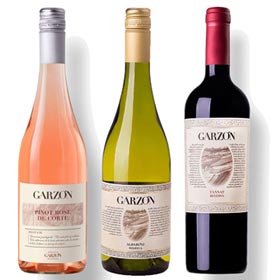 Kit Vinhos Uruguaios Garzón